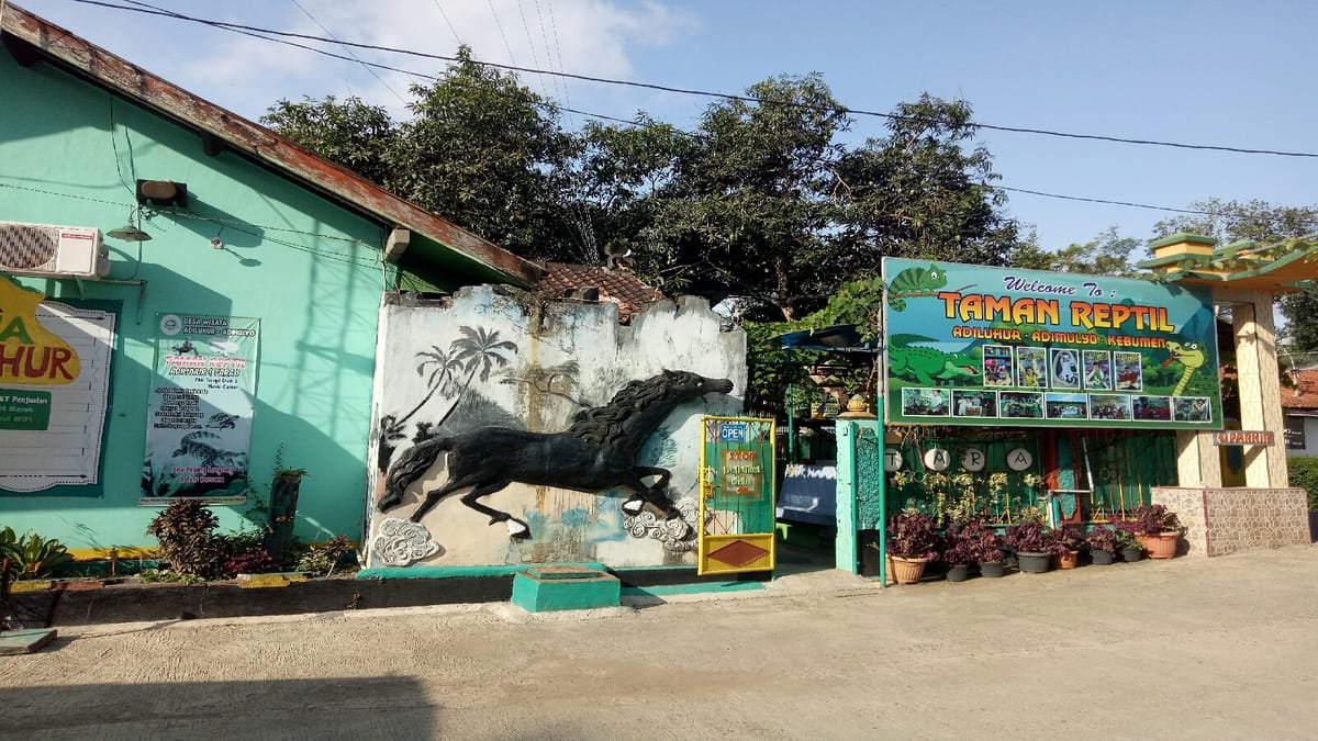 Cuma Rp 10 Ribu! Taman Edukasi Adimulyo Banyak Koleksi Hewan Reptil yang Langka 