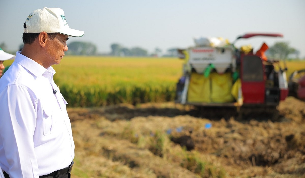 Mentan Amran: PM-AAS Gandakan Hasil Panen, Pendapatan Petani Ikut Naik