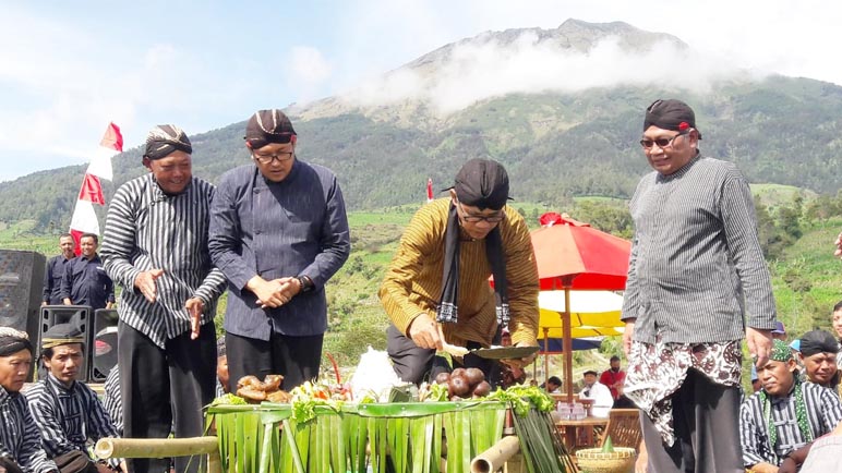 Agar Panen Tembakau Melimpah, Masyarakat di Temanggung Melakukan Tradisi Ini