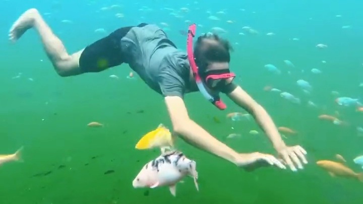 Snorkeling di Magelang? Taman Wisata Air Kalibening Jadi Rekomendasinya