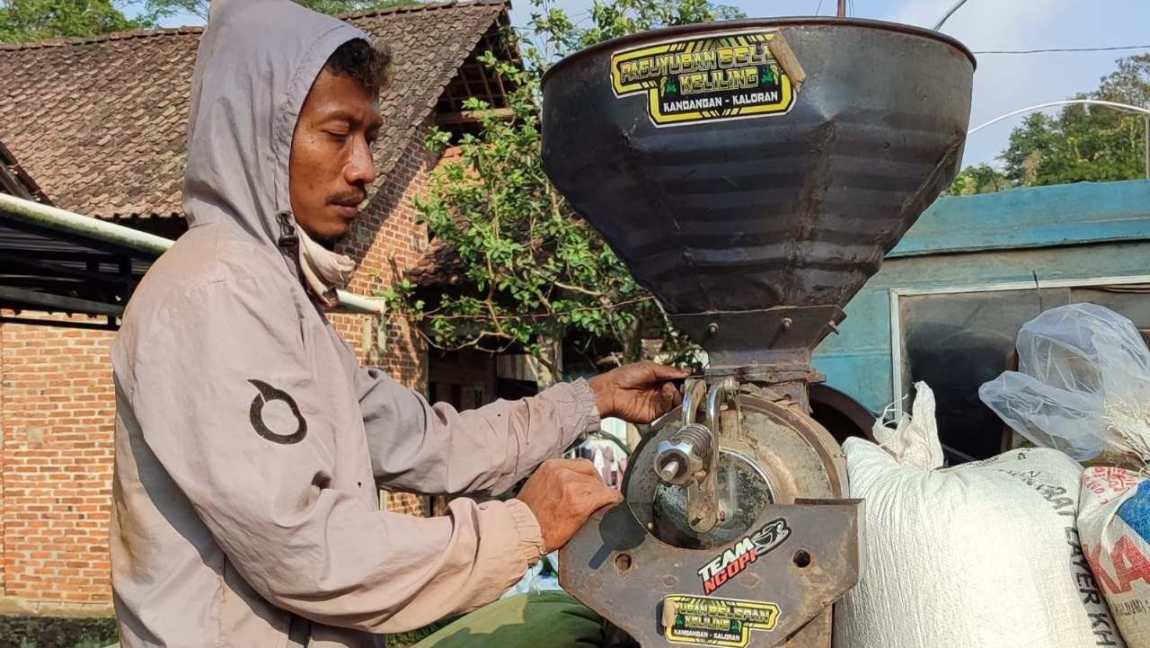 Harga Kopi Robusta Temanggung Fluktuatif, Petani Harap Bisa Tembus Rp90 Ribu per Kilo