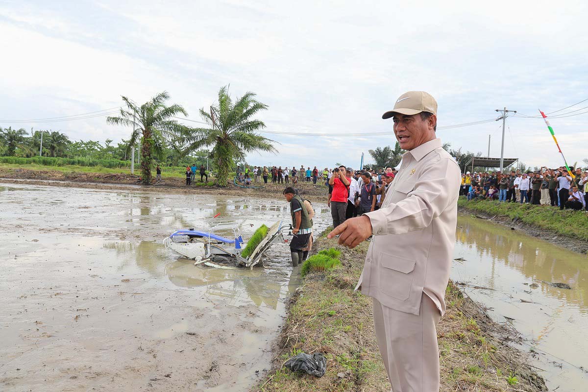 Tinjau Sawah Sumut, Mentan Amran Pastikan Program Swasembada Lewat Oplah dan Cetak Sawah Berjalan Lancar