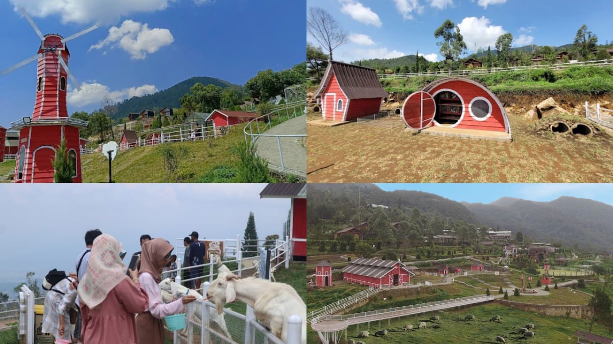 Nikmati Libur Weekend di Little Ranch Semarang, Hadirkan Suasana Peternakan Ala Selandia Baru Wajib Dikunjungi