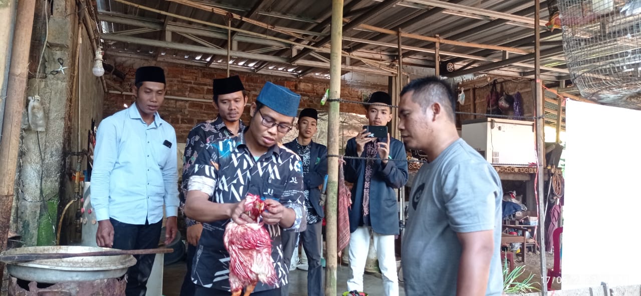 Ternyata Begini Cara Menyembelih Ayam Secara Halal!