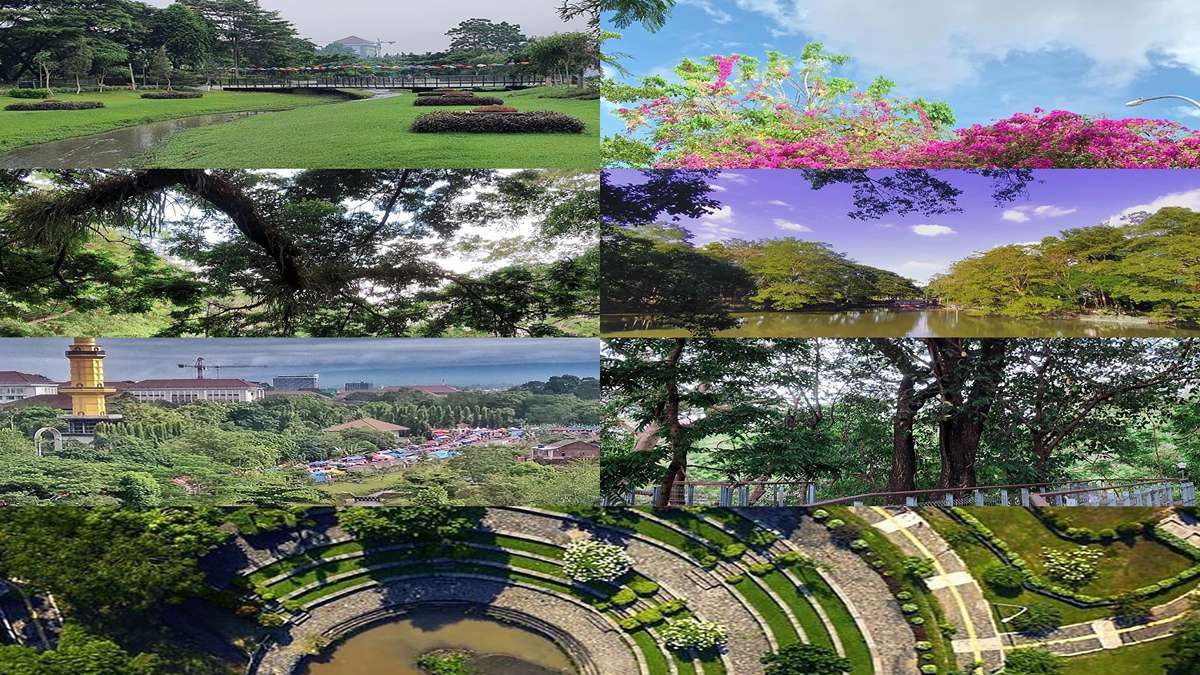 Wisata Gratis di Tengah Kota Yogyakarta Wisdom Park UGM: Tempat Belajar dan Bermain yang Sejuk dan Nyaman