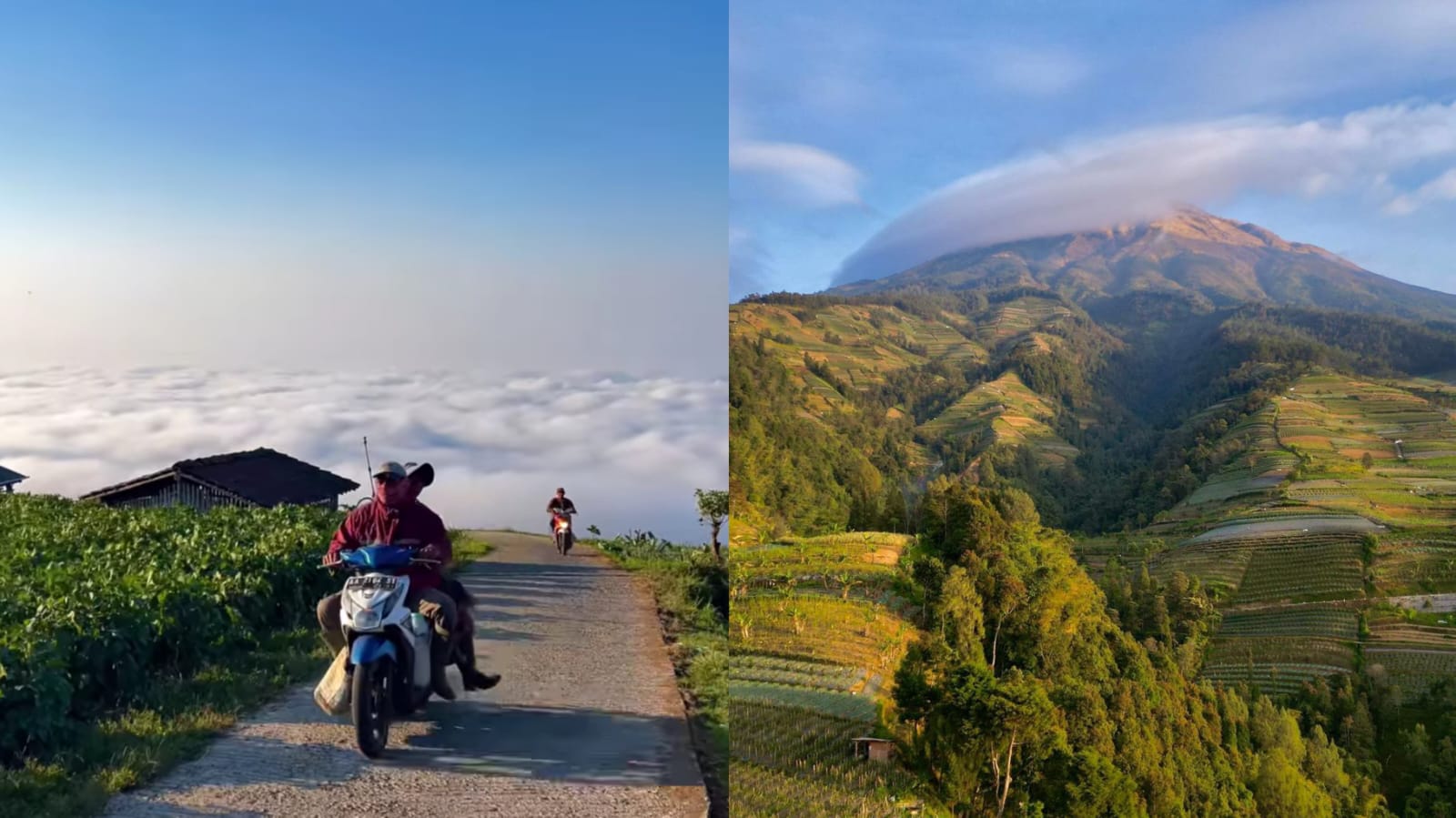 Gak Cuma Dieng, Dusun Marongan Sukomakmur Magelang Juga Punya Negeri Di Atas Awan Yang Tak Kalah Indah