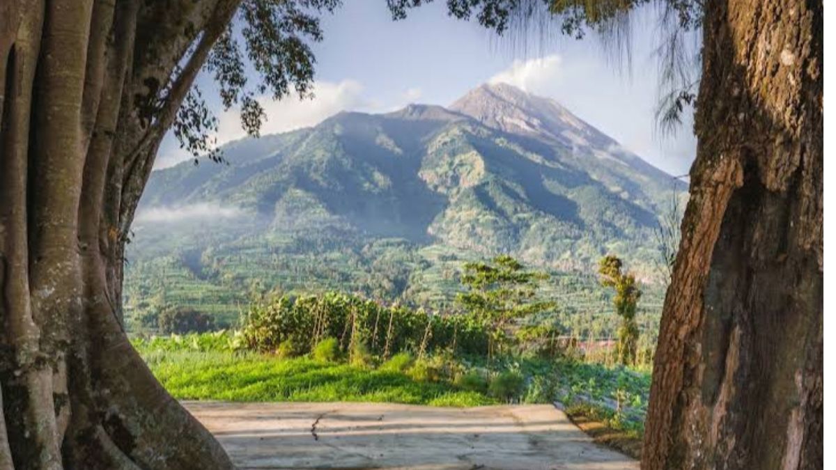 Jadi Pilihan Tempat Healing, Bukit Cilenguk Boyolali: Pesona Alam Merapi yang Dulunya Petilasan Raja 