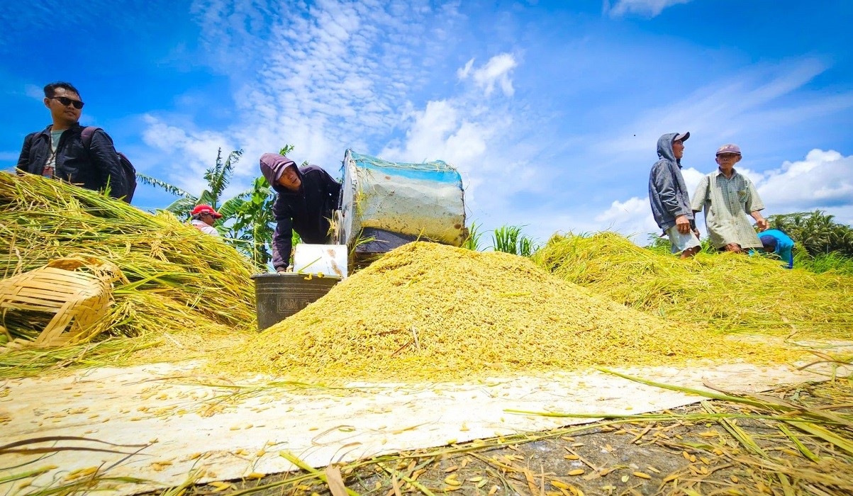 Mentan Amran Rapat Hari Minggu Antisipasi Kekeringan dan Ketegangan Geopolitik