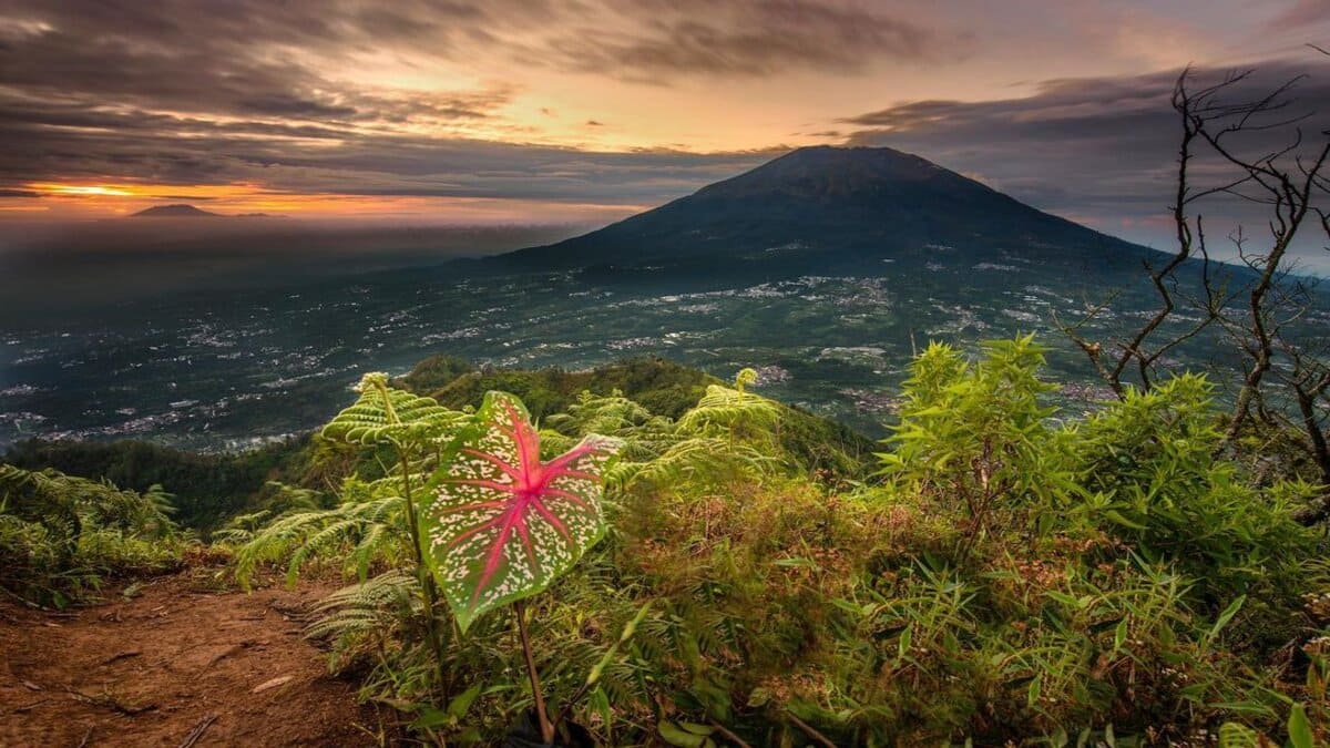 Viral! Telomoyo Satu-Satunya Gunung yang Bisa Didaki dengan Kendaraan Bermotor, Begini Penampakannya