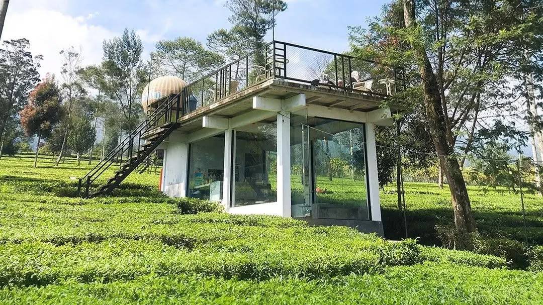 Kebun Teh Tambi Wonosobo Masuk 30 Besar Wisata Terbaik Versi Wonderful Indonesia