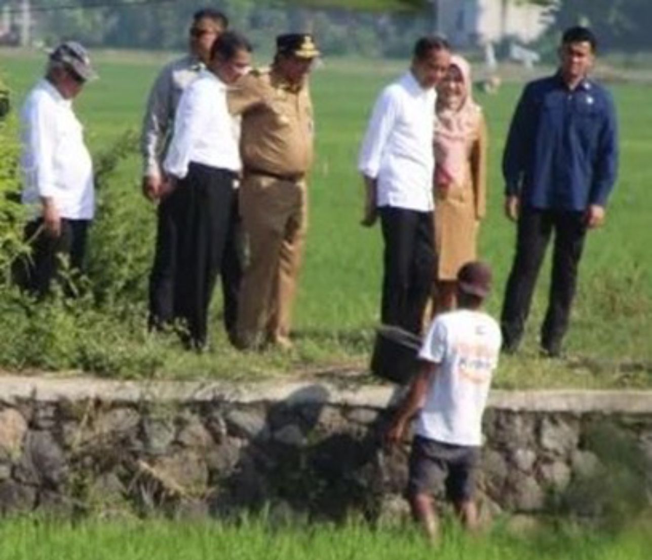 Presiden Jokowi Tinjau Pompanisasi Areal Sawah di Kabupaten Klaten