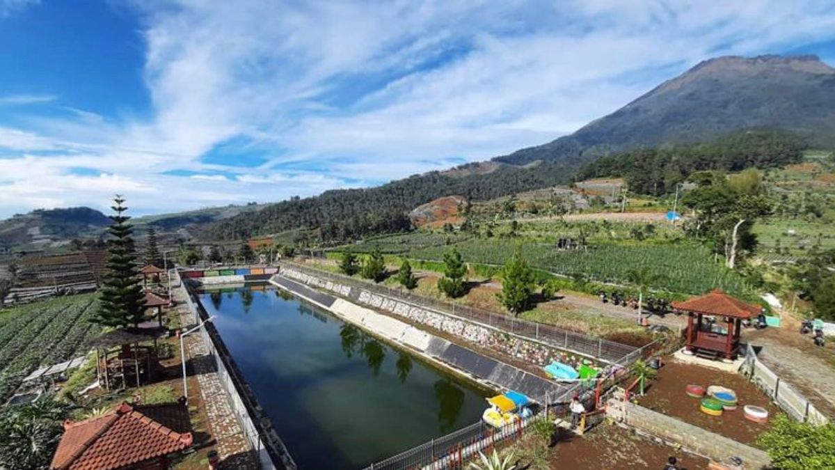 Panorama Alam Wisata Embung Walitis Yang Sangat Menarik Untuk Dikunjungi di Temanggung