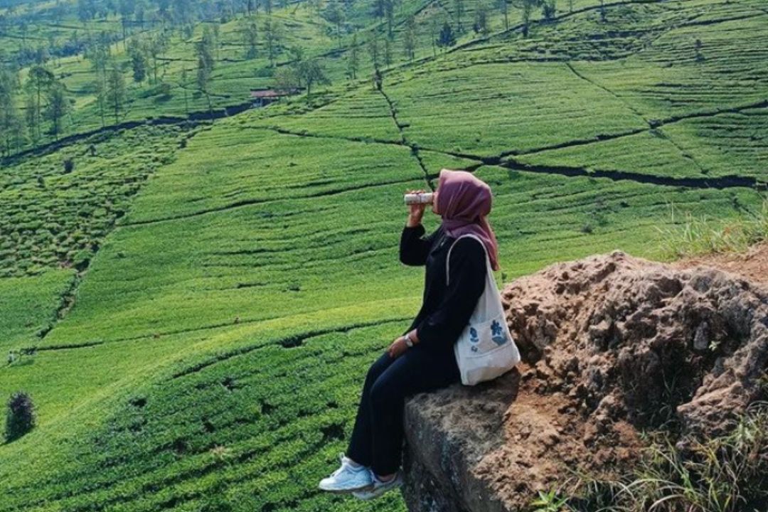 Lokasi Gunung Cilik, Pesona Alam Memikat di Wonosobo