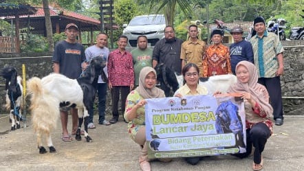 Bumdesa Pandanrejo Luncurkan Program Susu Kambing Kaligesing untuk Perkuat Ketahanan Pangan