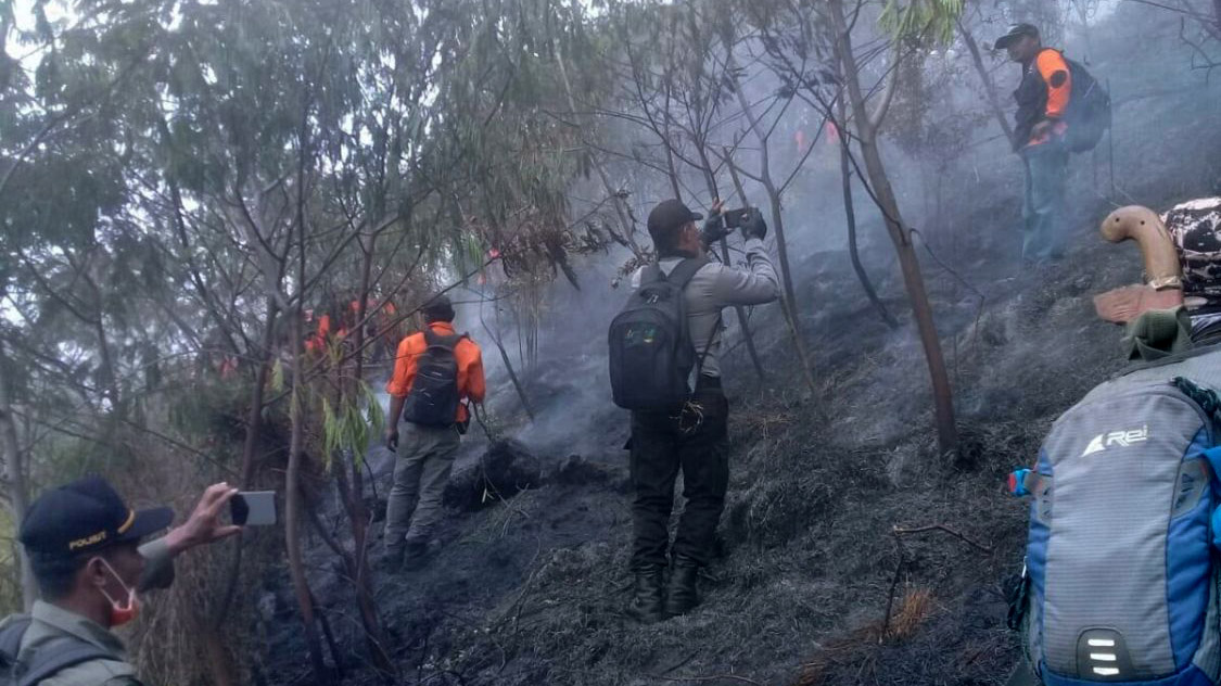 Kebakaran Gunung Sumbing Meluas, Lahan yang Terbakar Mencapai 240 Hektare