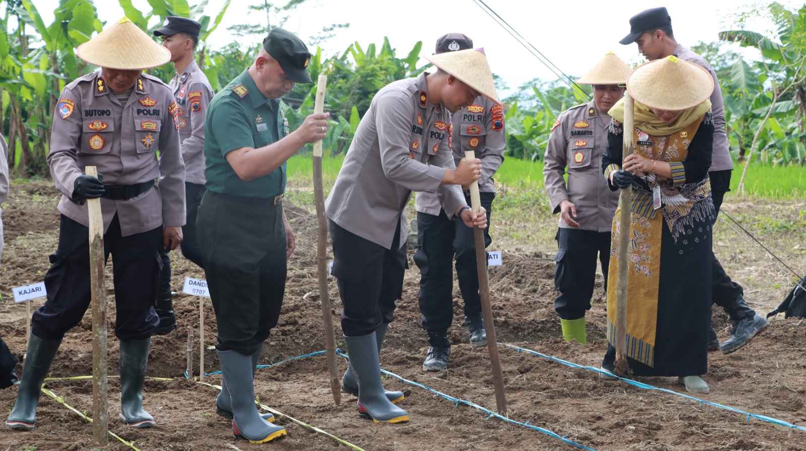 Dukung Ketahanan Pangan, Polres Wonosobo Tebar 57 Kg Bibit Jagung