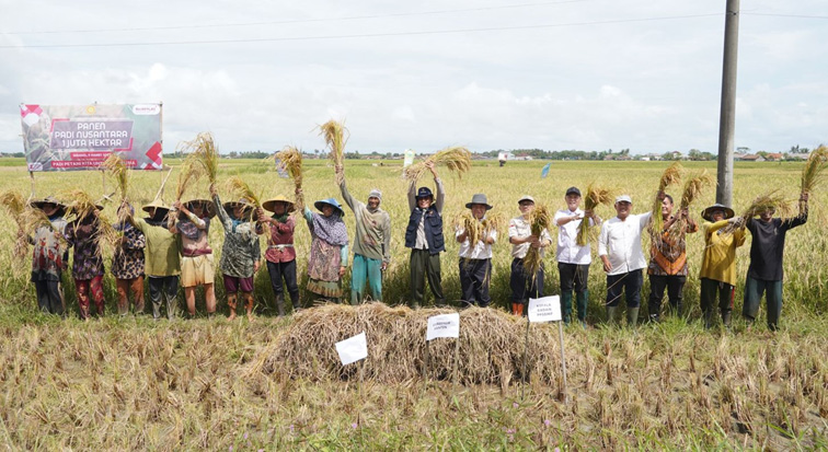 Panen Raya Nusantara Satu Juta Hektare, Kementan Apresiasi Petani Modern Serang