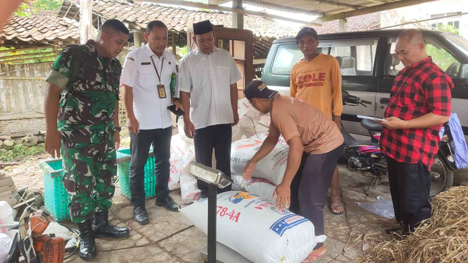 Serapan Gabah di Kecamatan Ngluwar Jadi Upaya Pemerintah untuk Ketahanan Pangan