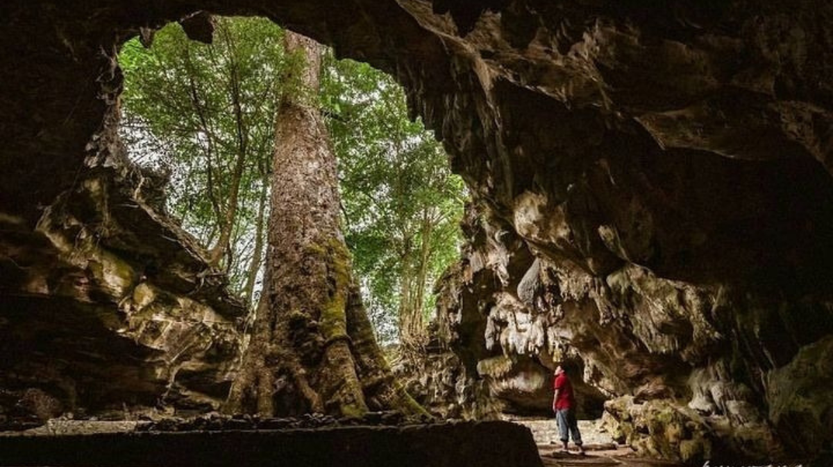 Pesona Goa Rancang Kencono Di Gunungkidul Yang Menyimpan Sejarah! Berikut Rute dan Harga Tiket Masuk!