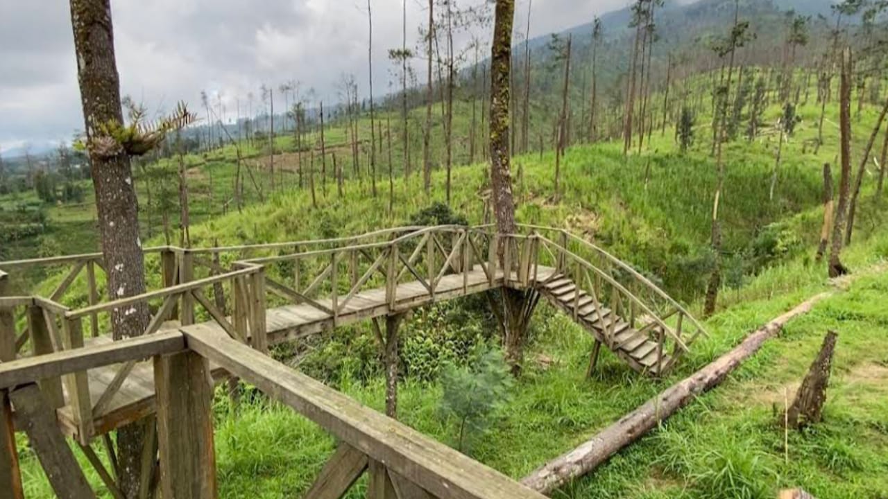 Spot Foto yang Ada di Bukit Grenden, Cocok untuk Dijadikan List Tempat Foto Prewedding