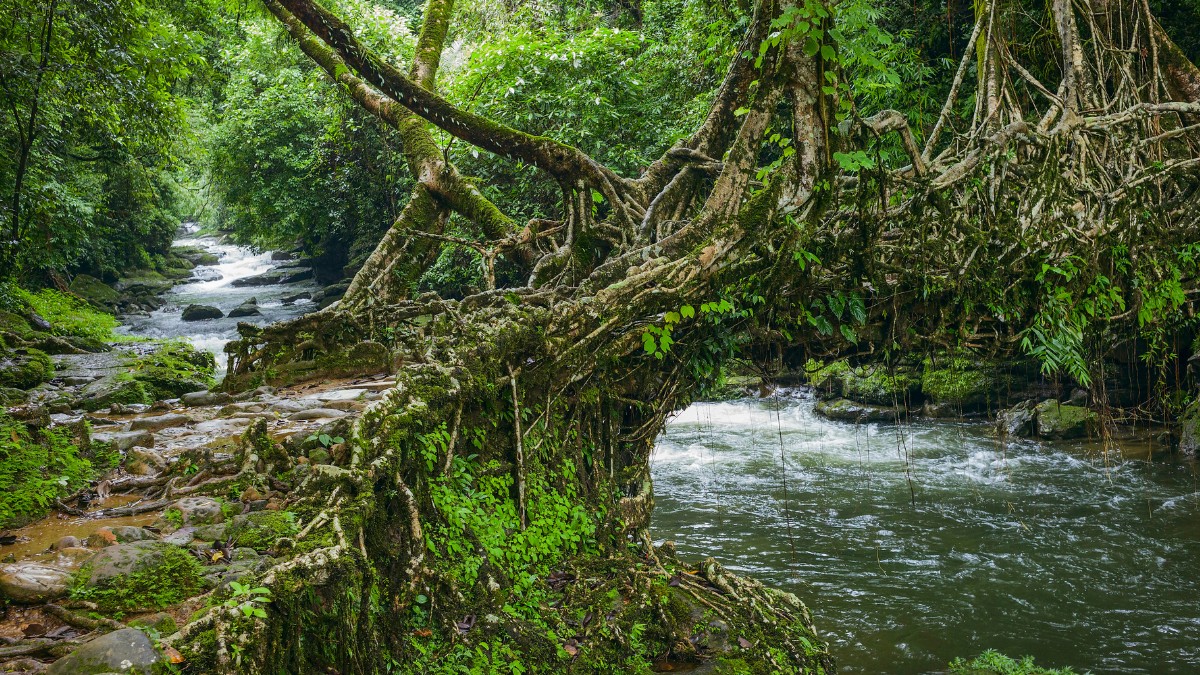 Desa Wisata Kelor Spot Paling Populer yang Nggak Kalah dengan Bali