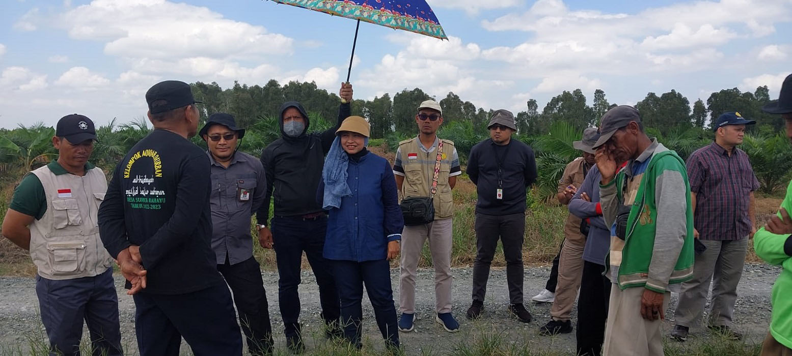 Tak Kenal Waktu Libur, Kabadan PPSDMP Temukan Solusi Perluasan Areal Tanam Di Barito Kuala 