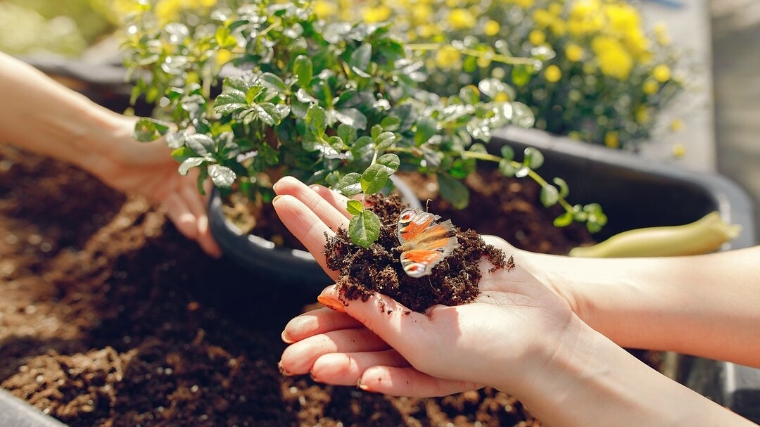 Pemulihan Ekosistem Gunung Merapi Pasca Tambang Ilegal, Menhut dan DPR RI Turun Tangan