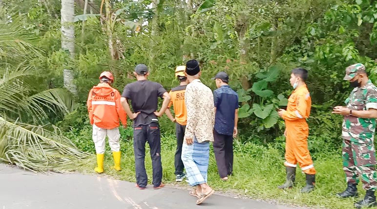 Guru SMA di Temanggung Ditemukan Meninggal Tertimpa Pohon Kelapa Saat Melintas di Jalan Raya