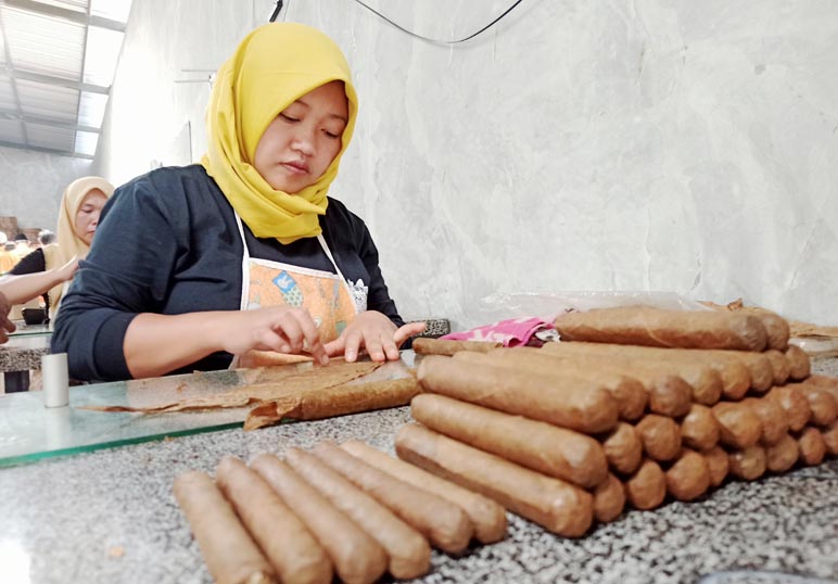 Petani Tembakau di Temanggung Mulai Tergiur Bikin Cerutu Sendiri