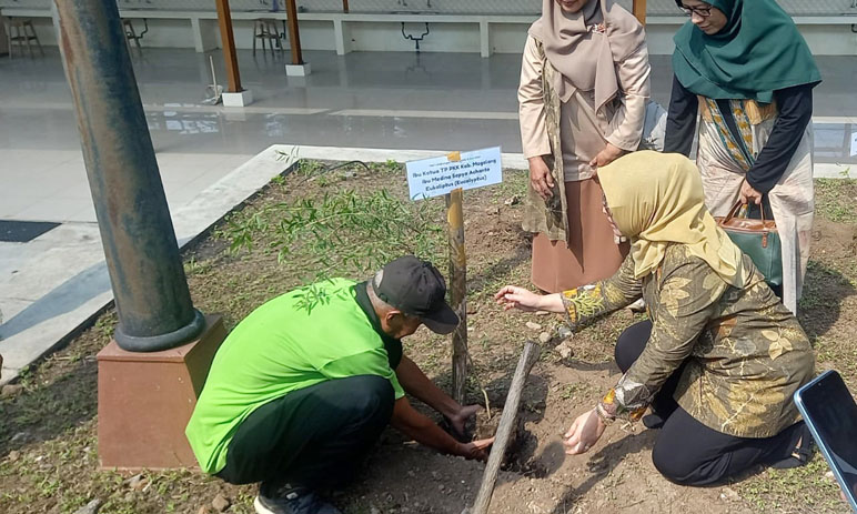 Hari Lingkungan Hidup, Komunitas Ecoprint di Magelang Tanam Pohon di Lokasi Pemandian Kalibening