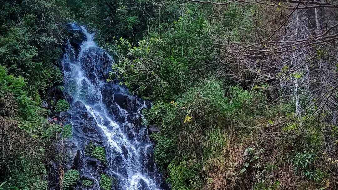 4 Rekomendasi Air Terjun di Kecamatan Ngablak Magelang, Banyak yang Tersembunyi Sudah Tahu Belum?