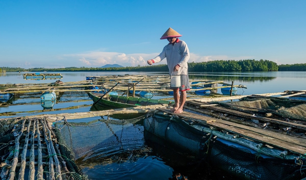 Dorong Sektor Produksi Bergeliat, BRI Salurkan KUR Rp69,8 triliun ke 8,3 Juta Debitur UMKM