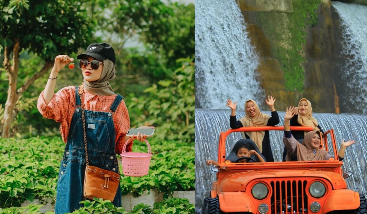 Keseruan Naik Jeep di Inggit Strawberry Magelang, Rekomendasi Wisata Dekat Negeri Kahyangan yang Ga Kalah Asik