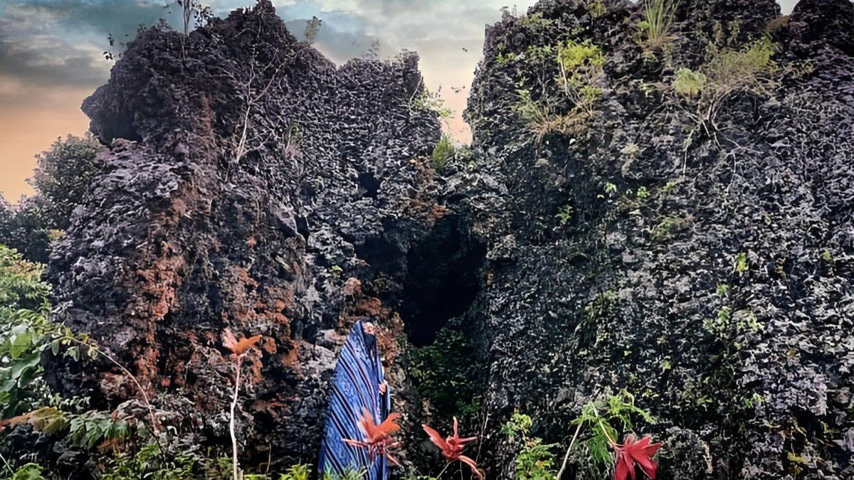 Keunikan Bukit Sebutrong Purworejo yang Bentuknya yang Seperti Gajah