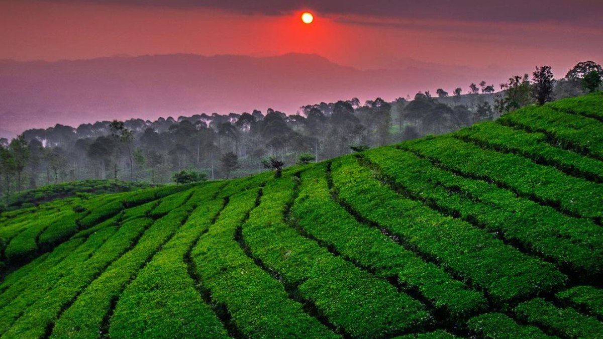 Gunung Cilik Wonosobo, Pesona yang Bisa Didapat Hanya dengan Perjuangan Jalan Kaki