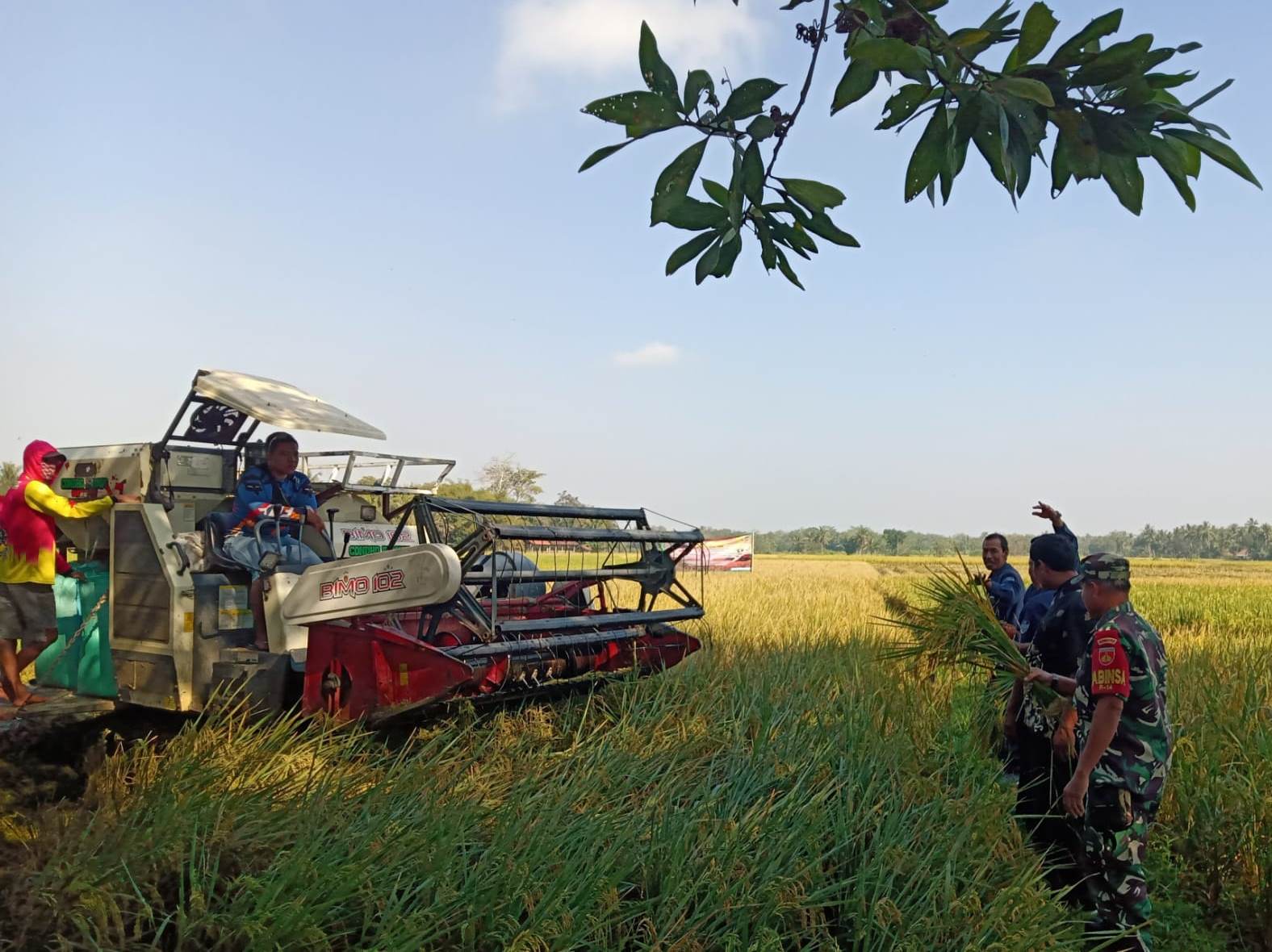 Hadapi Perubahan Iklim Ekstrim, Ini yang Dilakukan Petani di Purworejo