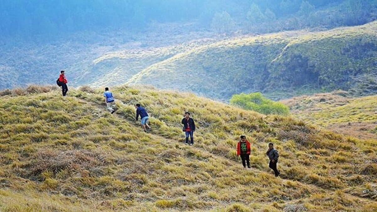 Bukan Afrika! Padang Savana Hidden Gem Hamparan Rumput diatas Awan Ini Ada di Jawa Tengah Lho!