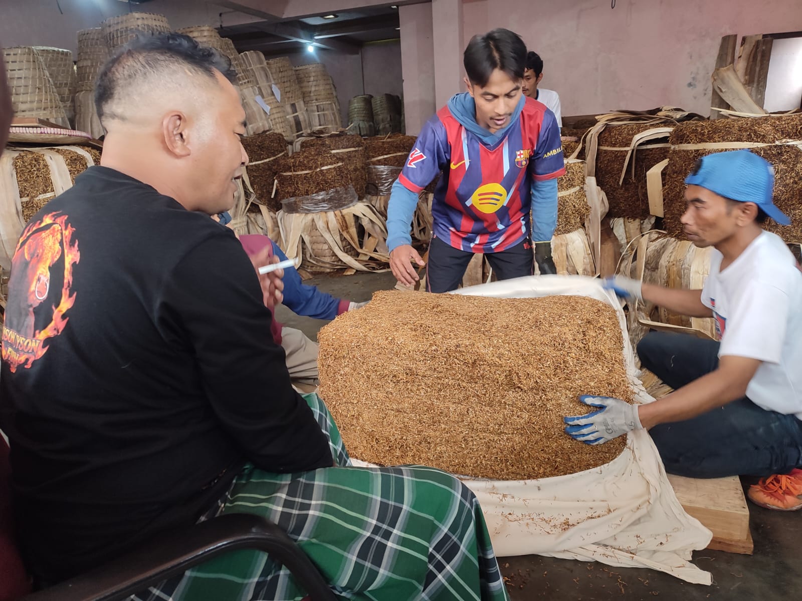 Panen Tembakau Wonosobo, Hasil Panen Turun, Harga Naik