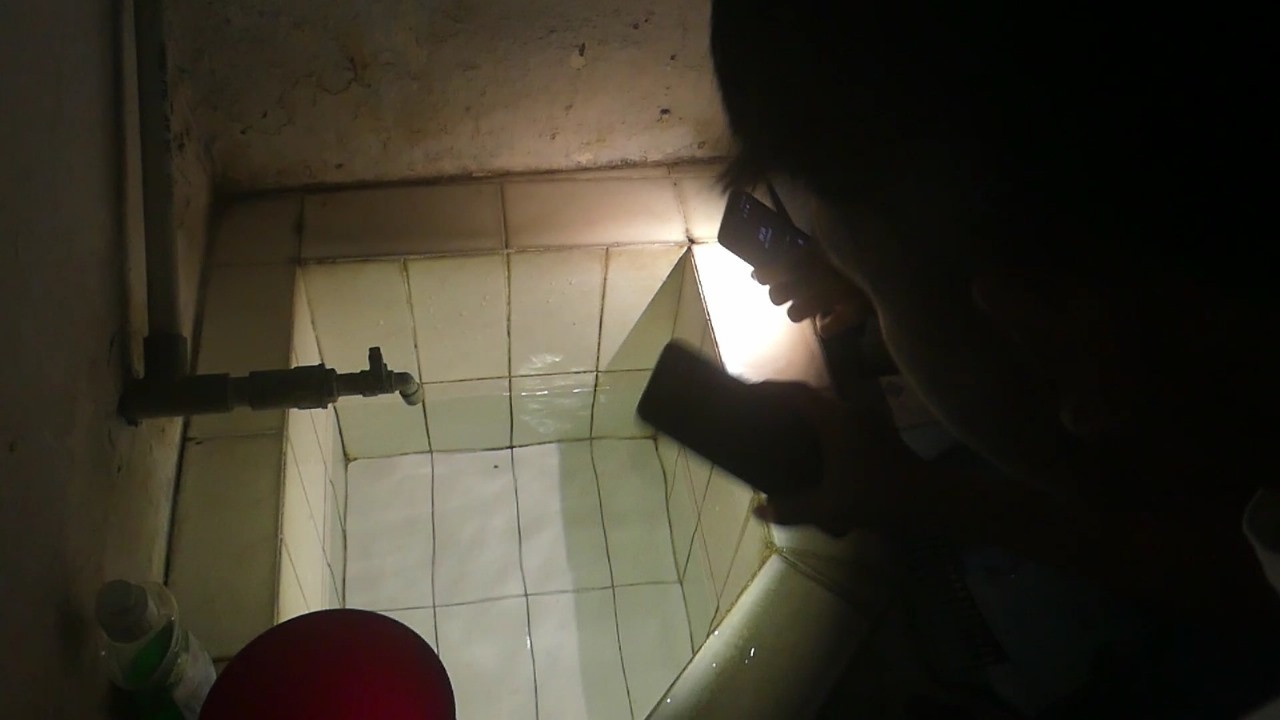 Waspada DBD di Musim Hujan, Kasus di Temanggung Tembus 356: Dinkes Gencarkan PSN dan Pola Hidup Sehat