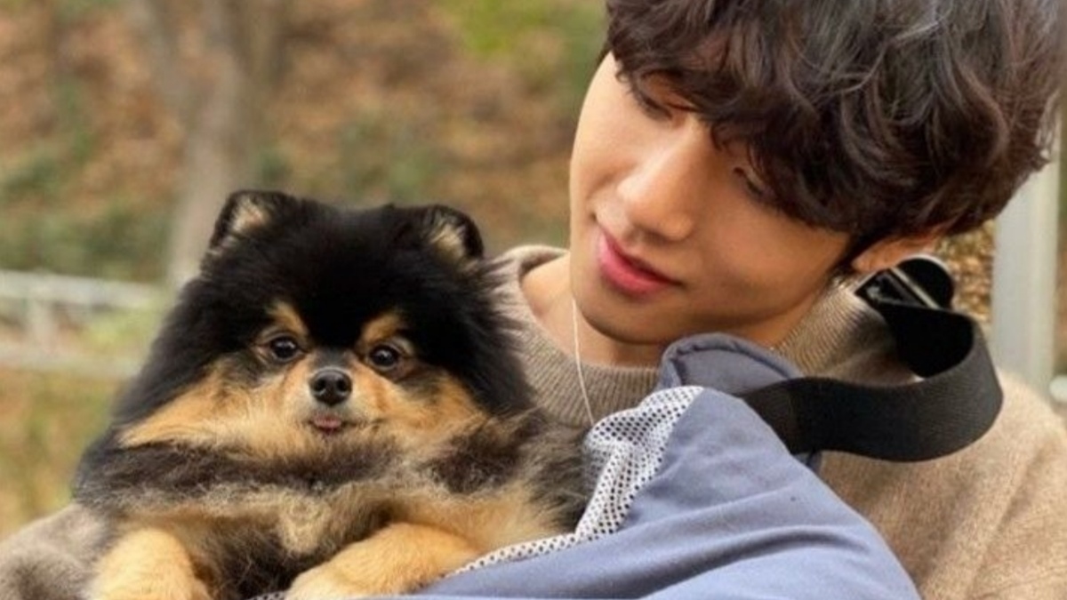 7 Fakta Yeontan Hewan Peliharaan V BTS yang Ternyata Jadi Anjing Kesayangan Para Bangsawan!