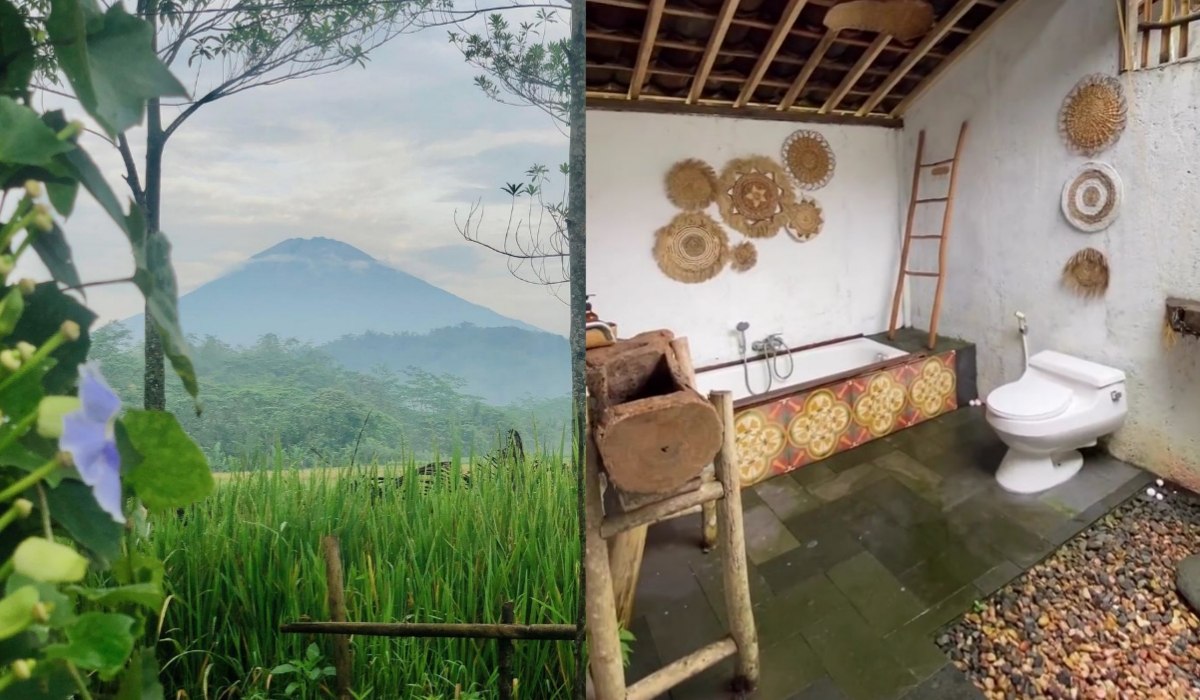 5 Daya Tarik Omah Sebumi yang Jadi Penginapan Tengah Sawah Ala Pedesaan Terbaik di Bandongan Magelang