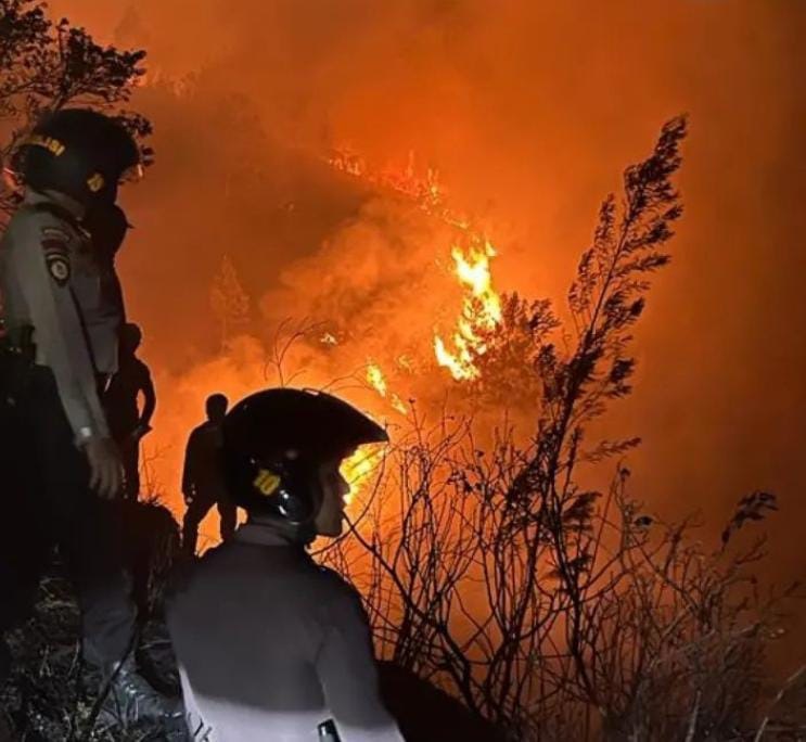 WADUH! Kebakaran Gunung Sumbing Kerugiannya Mencapai Rp38 Juta