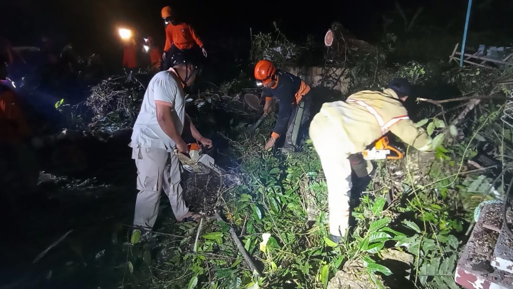 Pohon Beringin Tua Ambruk di Lereng Gunung Sindoro, Jalan Desa Kembali Normal