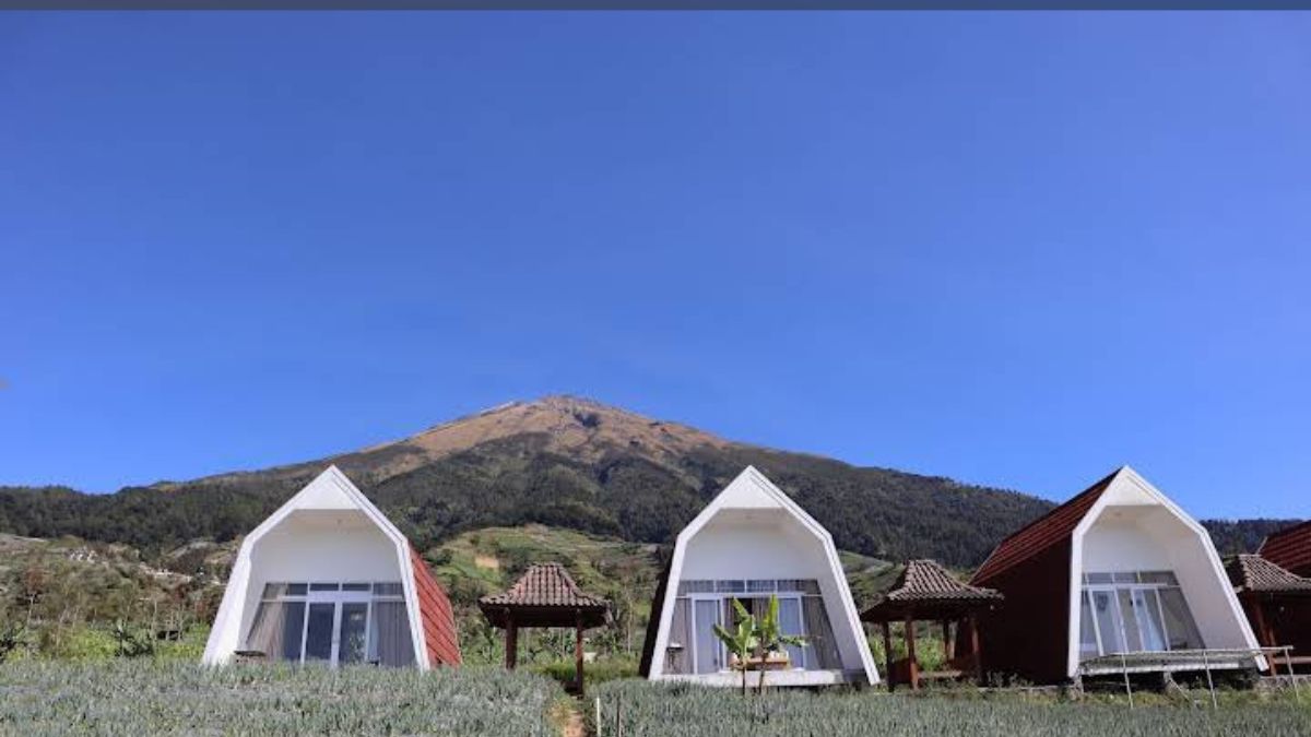   5 Rekomendasi Glamping View Gunung Sumbing, Harga Worth It Fasilitasnya Pun Elite 