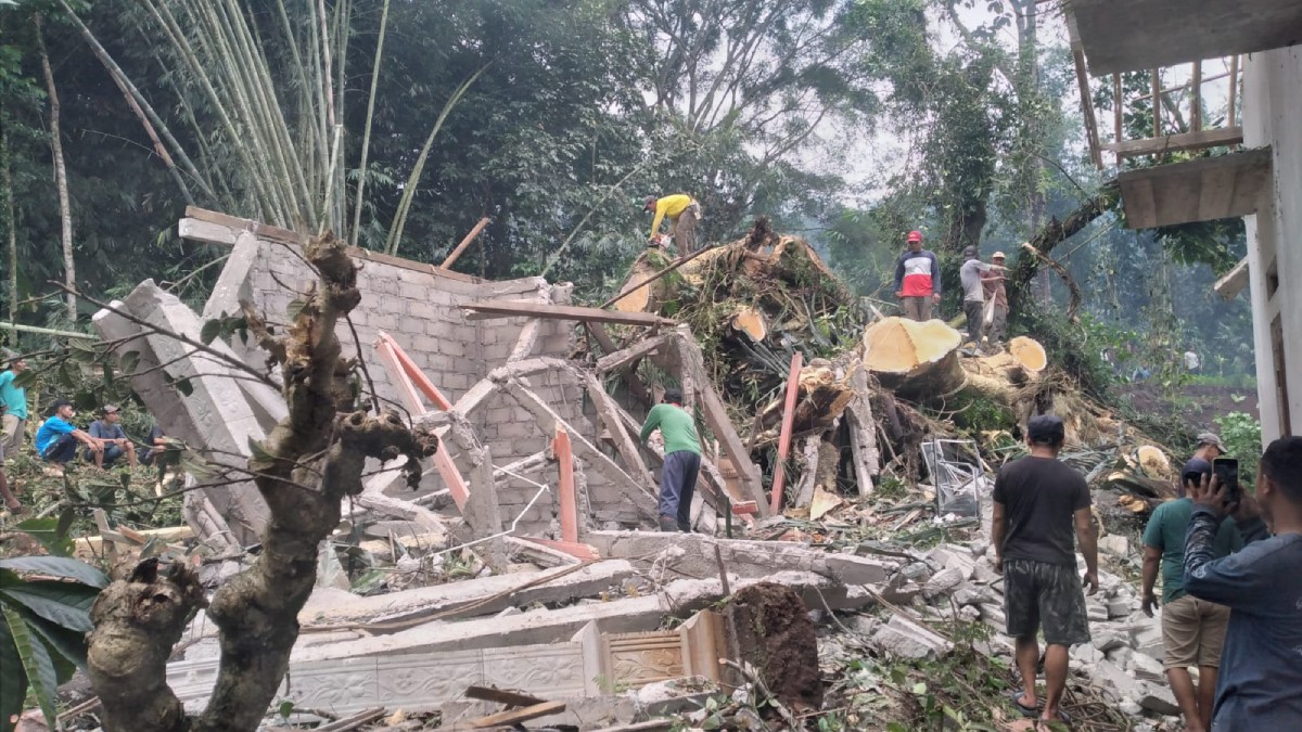 Tanah Longsor dan Pohon Tumbang Terjang Grabag Magelang, BPBD Imbau Warga Waspada