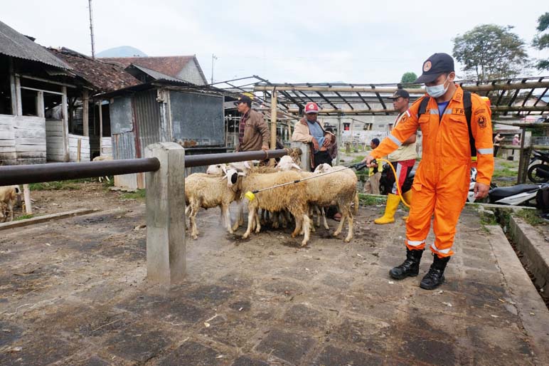 Pemkab Temanggung Perketat Lalu Lintas Hewan Kurban