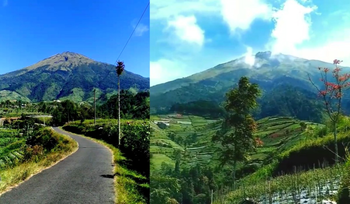 5 Spot Foto dengan View Gunung Sumbing Terbaik di Windusari, Belum Banyak yang Tau!