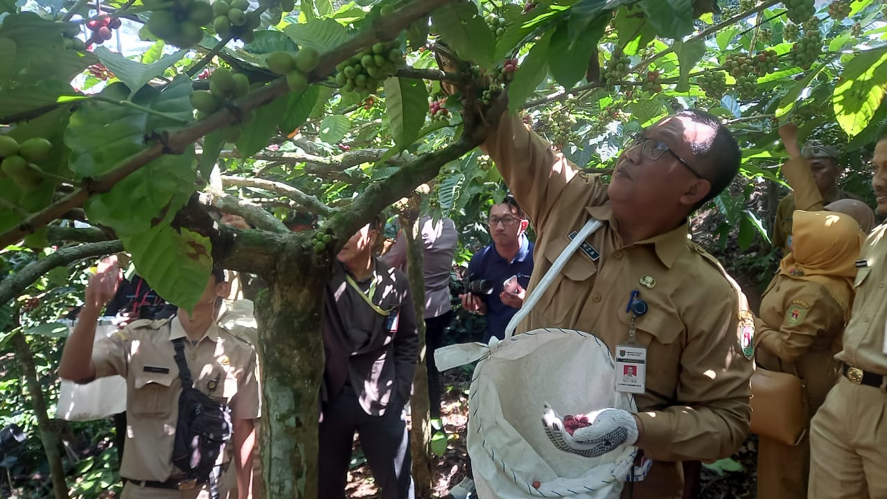 30 Peserta Sinau Kopi Bersama Petani Dusun Butuh Grabag Magelang