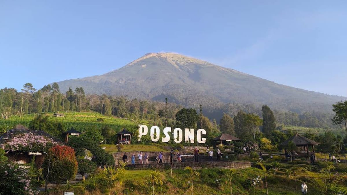 Wisata Temanggung Spot Terbaik Untuk Melihat View Gunung Sindoro, Inilah Pesona Posong