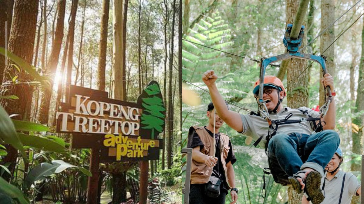 Patut Untuk Dikunjungi! Kopeng Treetop Adventure Park Cocok Untuk Menghabiskan Liburan Bersama Keluarga